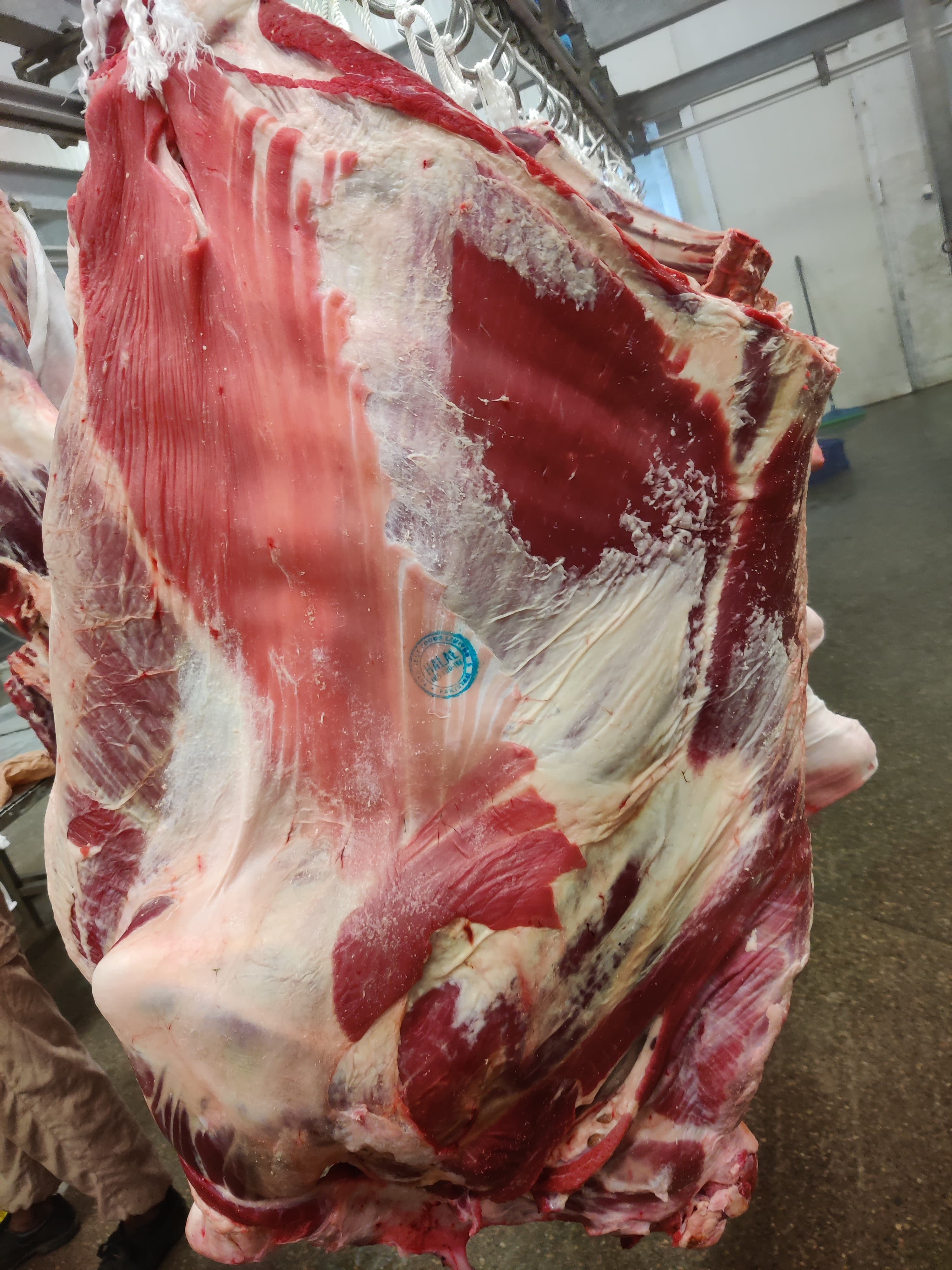 Boneless Buffalo